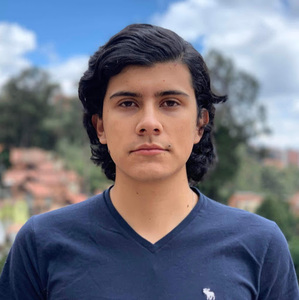 Daniel Alejandro Rubiano Chona avatar