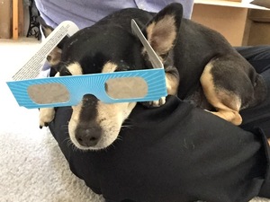 Domingo Moronta avatar