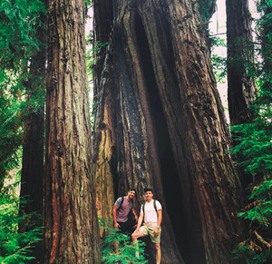 Joshua Trivlidis avatar