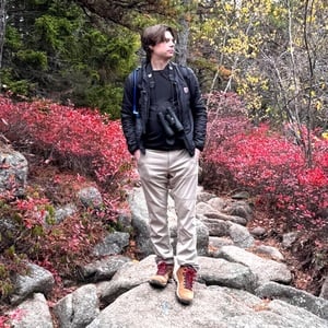 User portfolio avatar