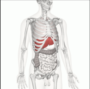 Alice Monaghan avatar