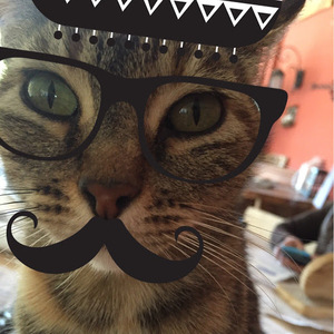 Andres Llumiquinga avatar