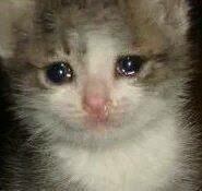 Olga Khmelenko avatar