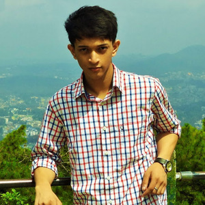 Mriganav Bordoloi avatar