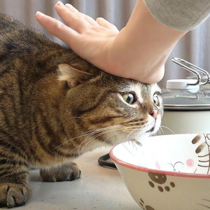 NARISARA LIMPISIRISANT avatar