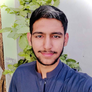 Hassan Raza avatar