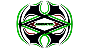 Abdelrahman Walied avatar