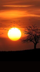 Asma Khaldoun avatar