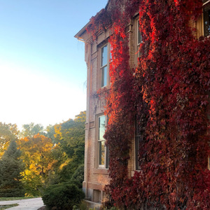 Reem Ghabayen avatar