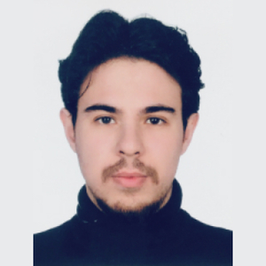 Berkay Yıldız avatar