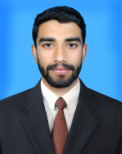 Faisal Ramzan avatar