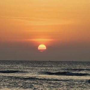 Khanh Linh  Tran avatar