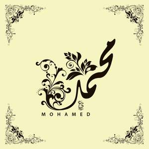 Mohamed Ahmed Nabil Zahran avatar