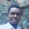 Bervelin Lumesa Avatar
