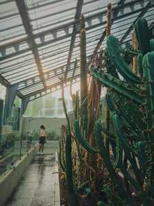 Guillermo González Diaz avatar