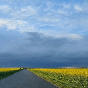 Guillaume Galdrat Avatar