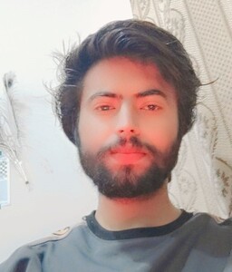 Hamza Sarfraz avatar