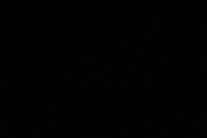 Sidar Deniz Topaloğlu avatar