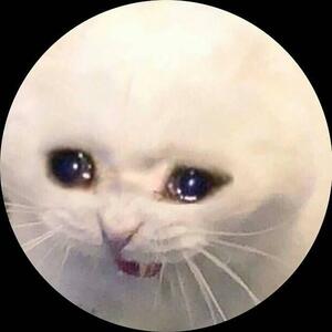 Lai Zuing Zhen avatar