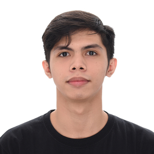 User portfolio avatar