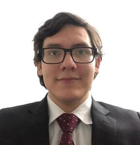 Diego Francisco Reyes-Ewest Mavila avatar