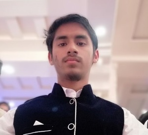 Muhammad Junaid Raza avatar