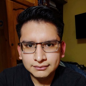 Brayan Flores Mendez avatar
