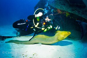 Cintia Campos avatar