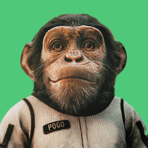 Ayush Shrestha avatar