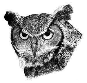 Abdelrahman Ashraf avatar