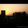 Shaikh Tanzim Fatima avatar