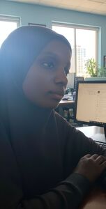 User portfolio avatar