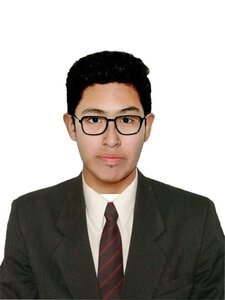 MAX PAUL DIAZ LOA avatar