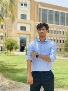 Muhammad Asad avatar