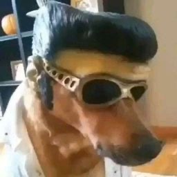 maria Aboulaala avatar