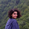 Fatemeh  Saburruh Monfared avatar