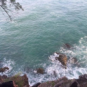 Ling Wen Chua Avatar