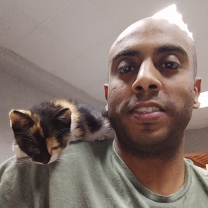 Mohammad Al Sokkary avatar