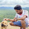 Thilina Madushan avatar