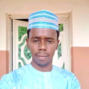 Abdulhameed Usman Hameed 