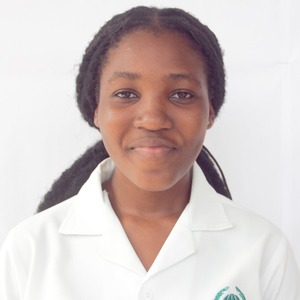 User portfolio avatar