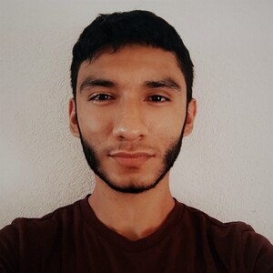 User portfolio avatar