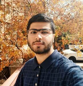 Mohsen Fariborz Rad avatar