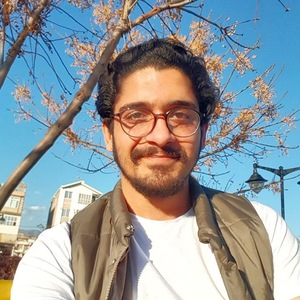 Moein Verkiani avatar