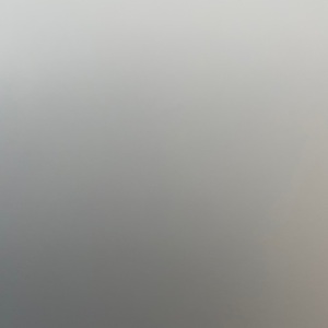 Evgeniya Dal-Canton avatar