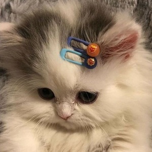 Ioanna Karagianni avatar