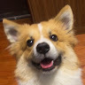 Zhonghao Wu avatar