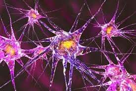 Luis Renteria Lezano