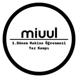 Zehra Kara avatar