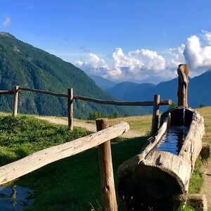 Anna Camplani avatar